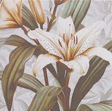 Carrelage Decor Fleuri Technical soft Secrets White 20x20 cm de Mainzu