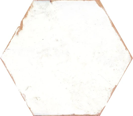 Echantillon Hexagonal effet Carreaux de Ciment Bohemia 21x25 cm