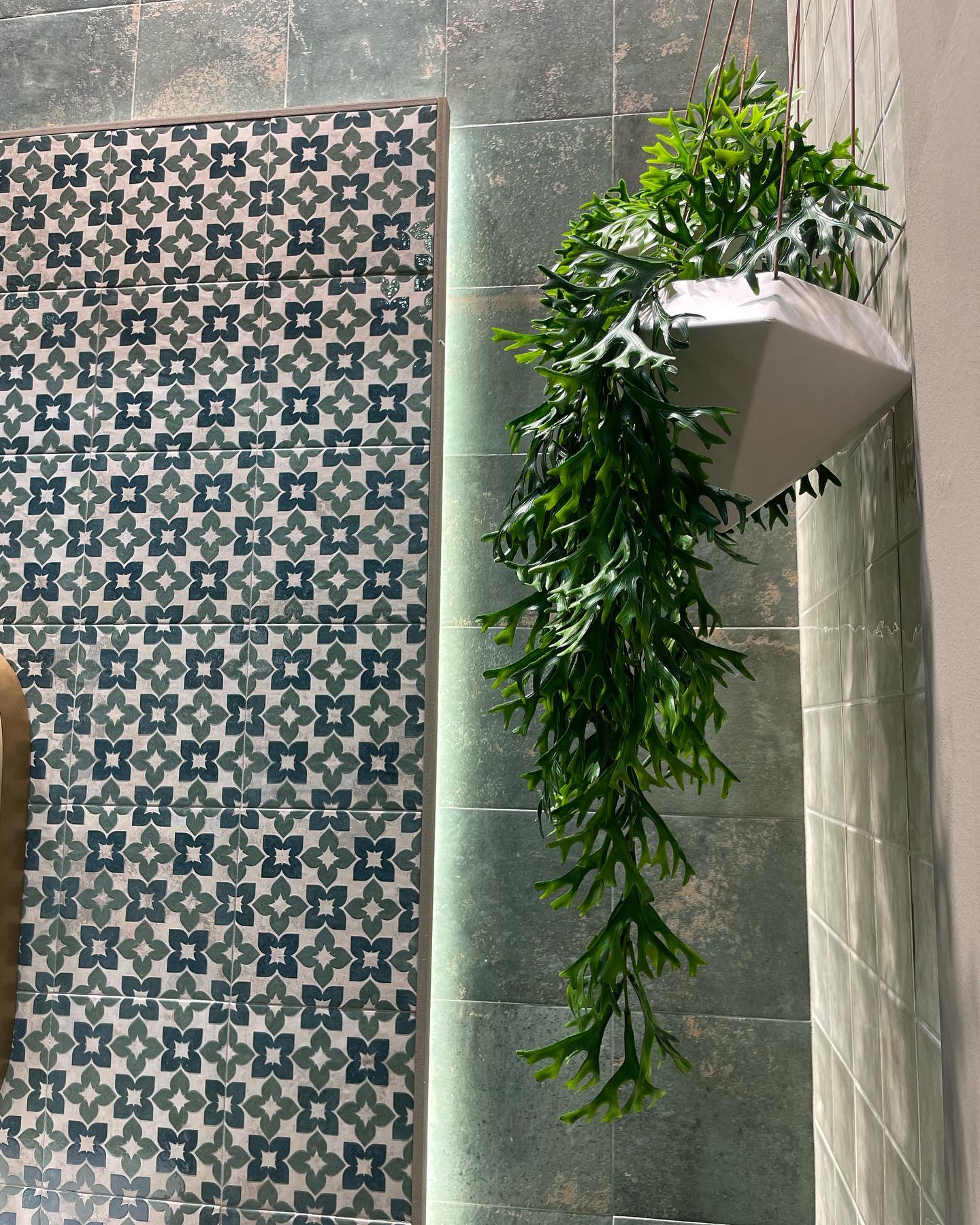 Carrelage Effet carreau de ciment Meraki 20x20 cm de Mainzu