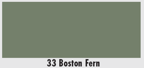 Mortier Joint Carrelage Permacolor Select Fine Boston Fern 33 de Laticrete