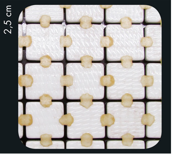 Mosaique Emaux de verre Terrazzo Clay Antiderapant 2,5x2,5 cm de Ezarri