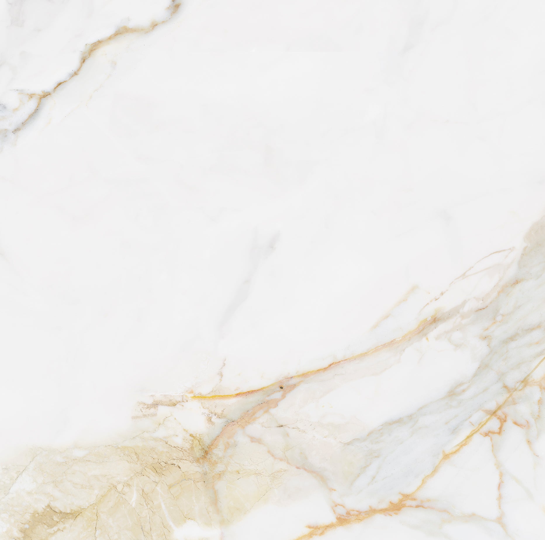 Effet Marbre Blanc et Or Marshall Gold Mat ou Brillant 90x90 cm de Ecoceramic
