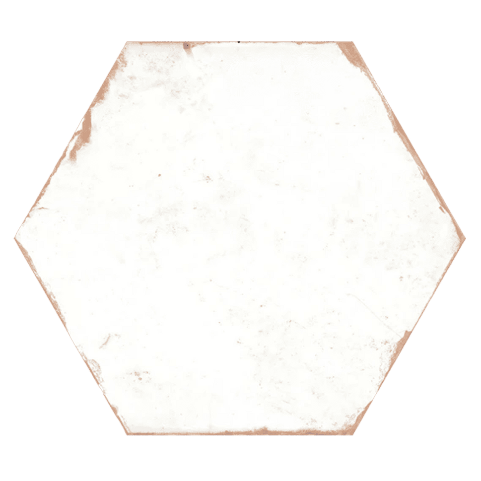 Echantillon Hexagonal effet Carreaux de Ciment Bohemia 21x25 cm