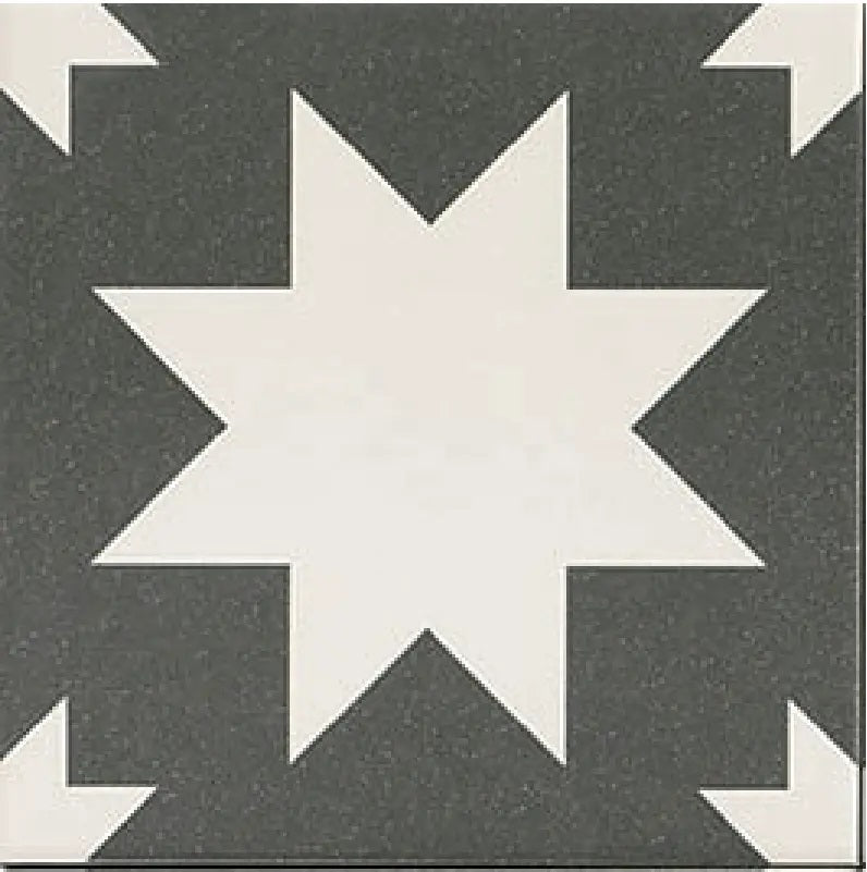 Carrelage Effet carreaux de ciment Fired Star Black 20x20 cm de Mainzu