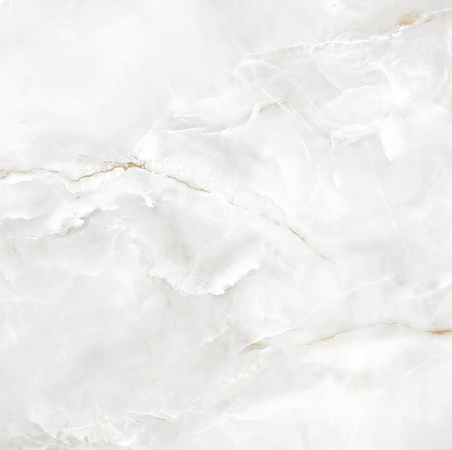 Carrelage Effet Marbre Eternal White Brillant 60x60 cm de Ecoceramic