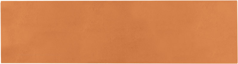 Carrelage sol et mur Natural Cotto Mat 9,2x36,8 cm de Cevica