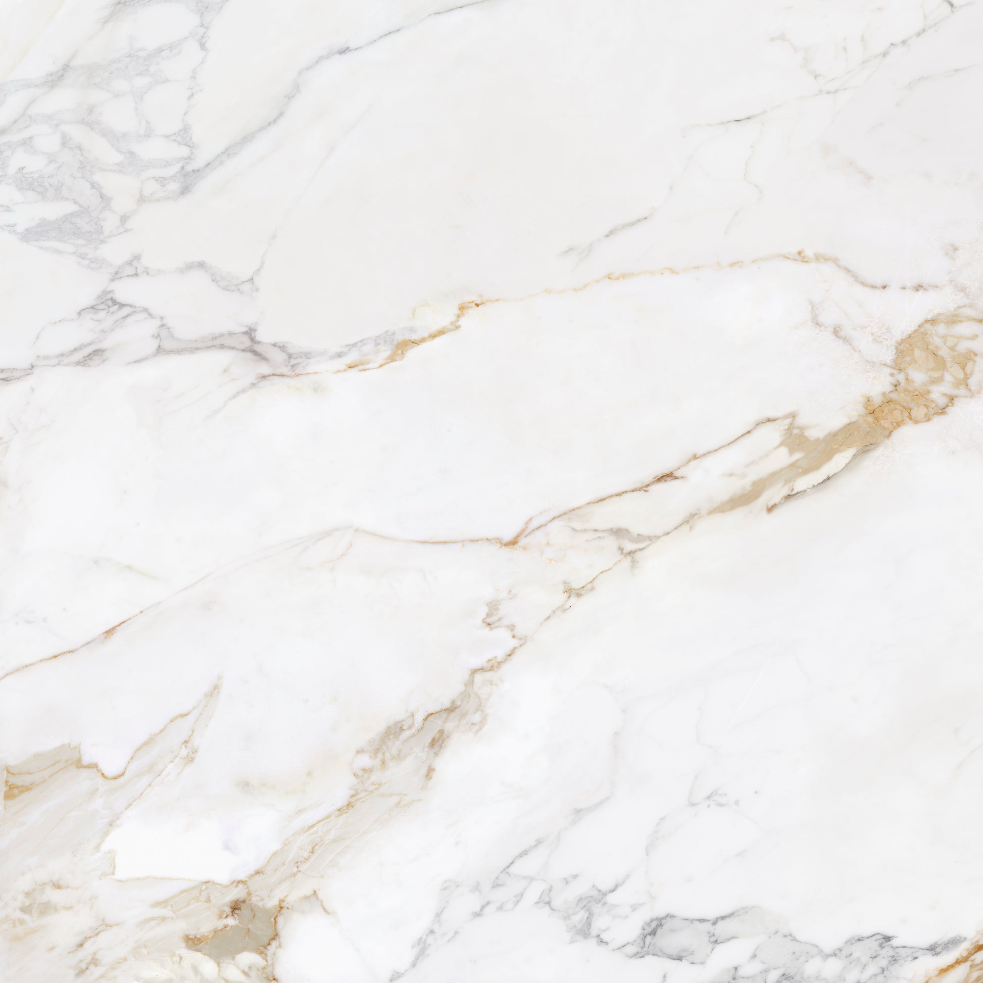 Effet Marbre Blanc et Or Mat ou Brillant Marshall Gold 75x75 cm de Ecoceramic