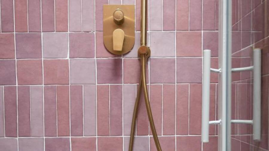 Faience Murale Zelij Rosa 5x20 cm de Cevica